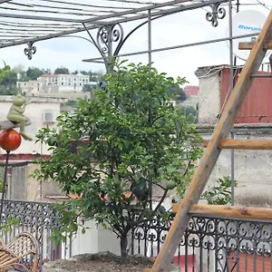 Lemon Tree Terrace , Naples Italie